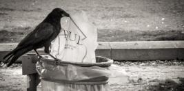 Paryż - Ludzie i Zabytki