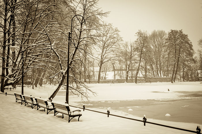 Zima w Parku